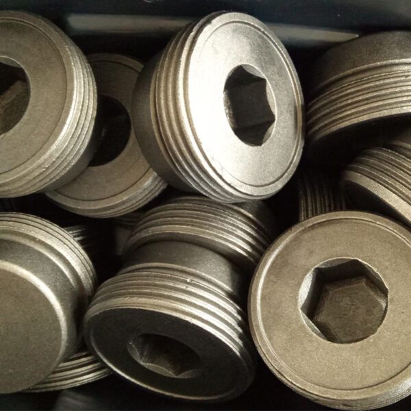 Casing Bolt Germany